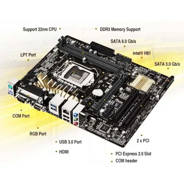 H81 alaplap az Asus H81m-v3 számára